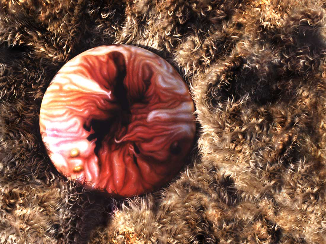 Darlingtonia 05 Kopieren.png