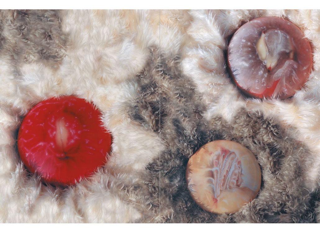 Sonja Feldmeier Publication003.jpg