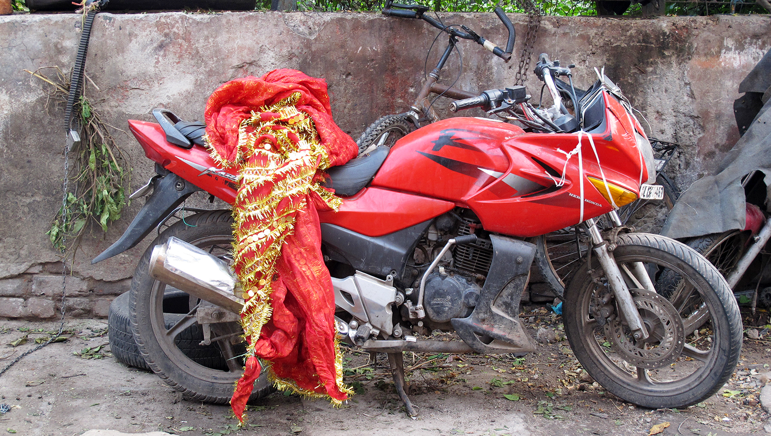 Real India 05.1.jpg