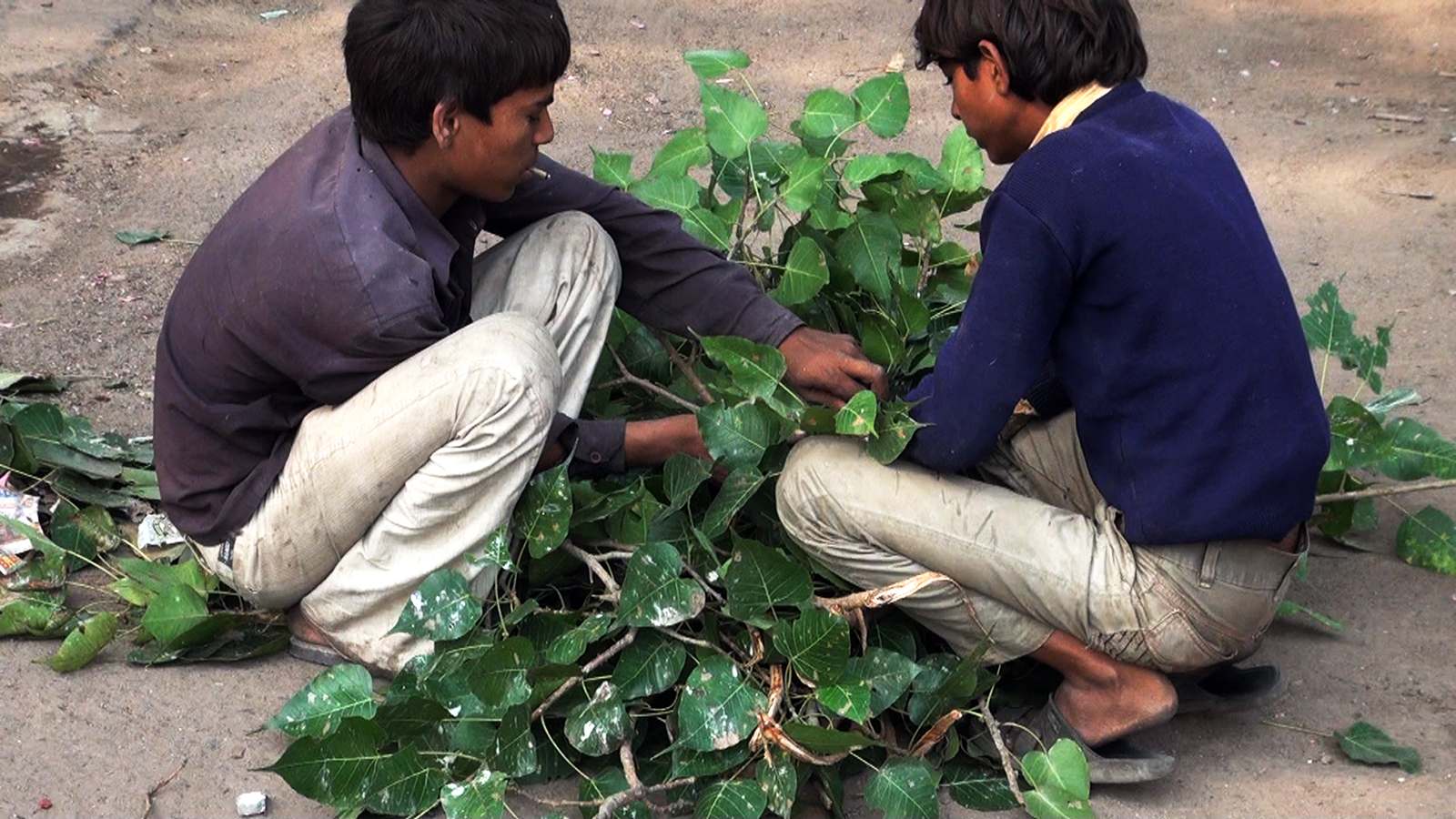 Real India 06.1.jpg