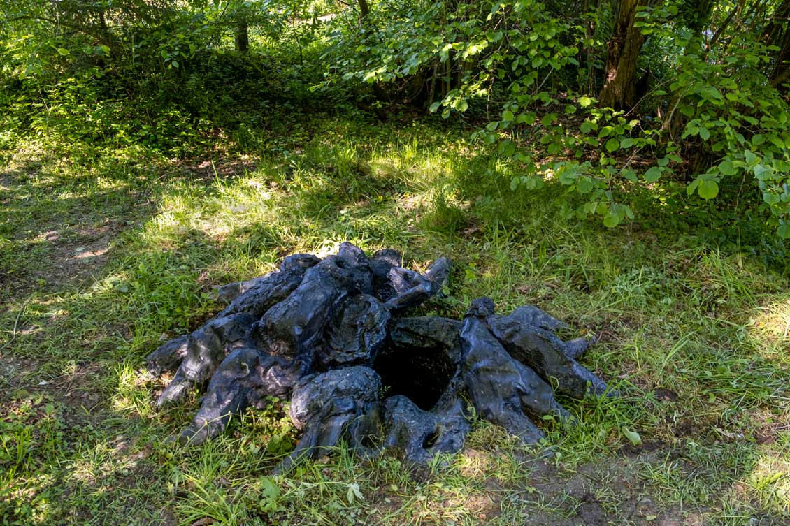 Sleeping Tree Sonja Feldmeier 01.jpg