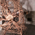 Breaking Home 02.jpg