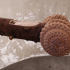 Breaking Home 05.jpg